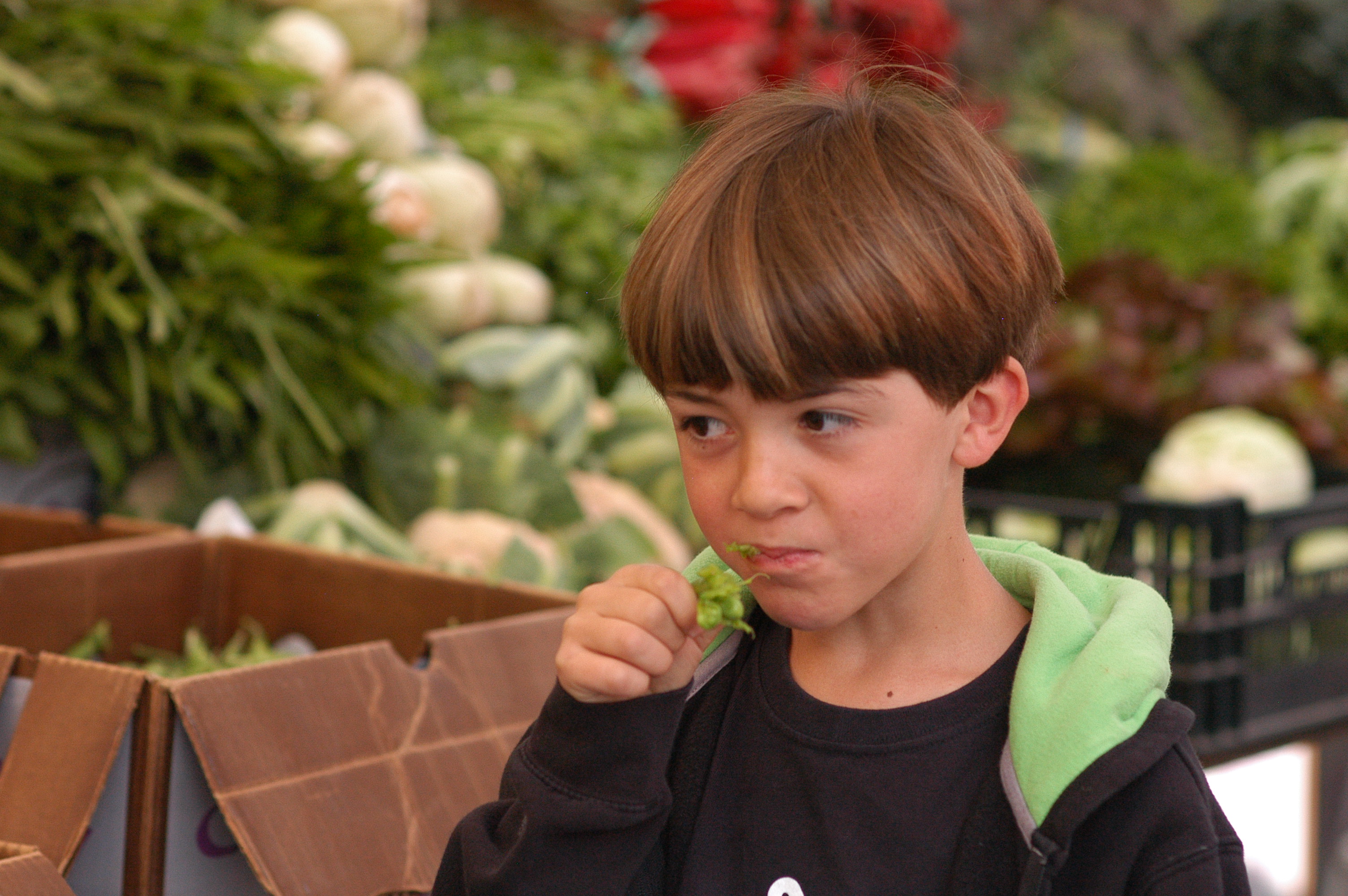 Farmer’s Markets for Kids – A Magical Introduction to Fruits and Vegetables